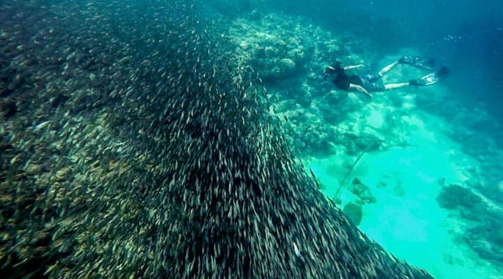 CebuNiBai Gallery photo